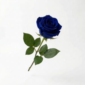 Rosa Azul Profundo Eterna
